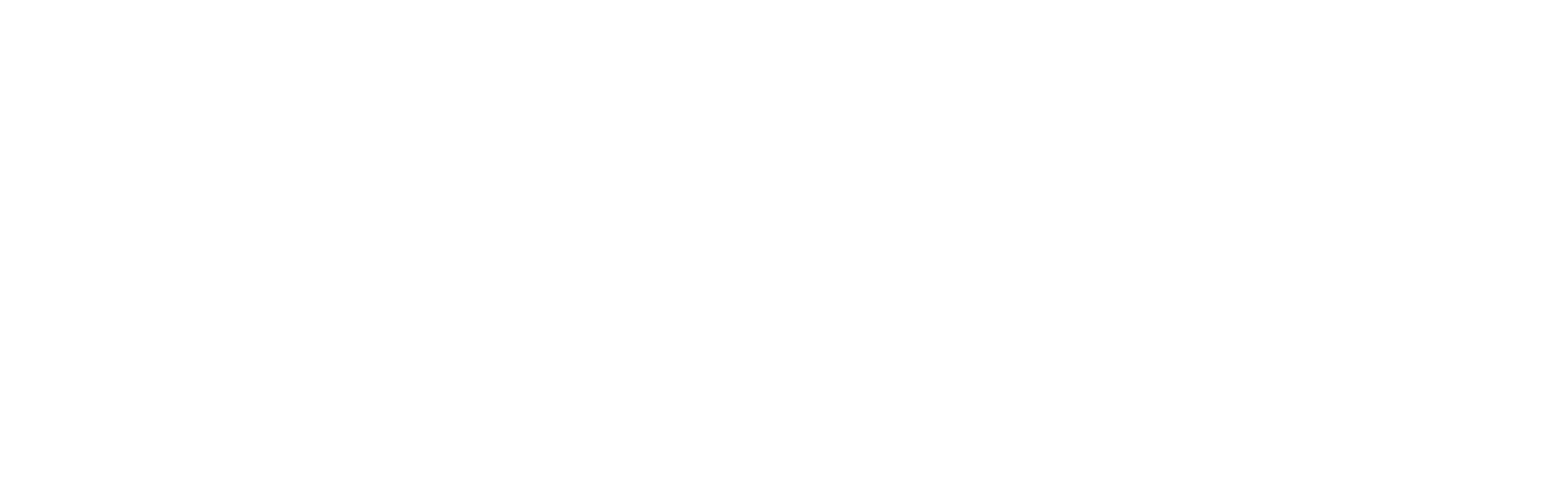 The Unicorns Assembly
